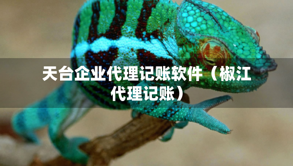 天台企业代理记账软件（椒江代理记账）