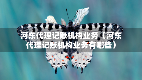 河东代理记账机构业务（河东代理记账机构业务有哪些）