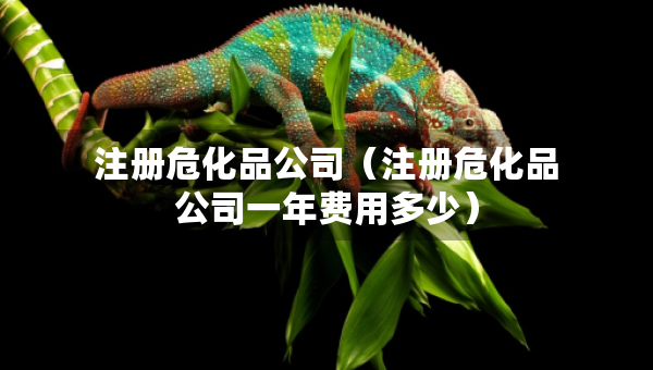 注册危化品公司（注册危化品公司一年费用多少）