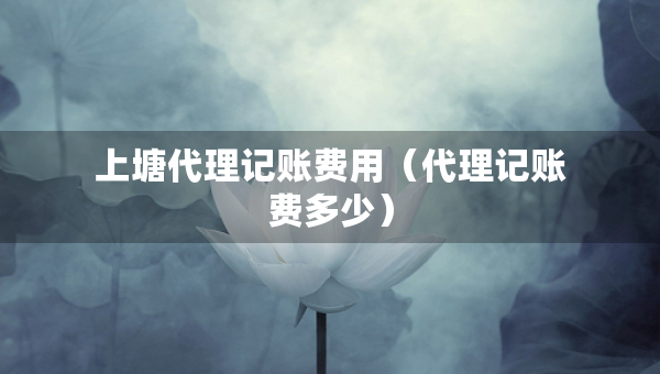 上塘代理记账费用（代理记账费多少）