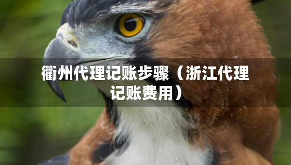 衢州代理记账步骤（浙江代理记账费用）