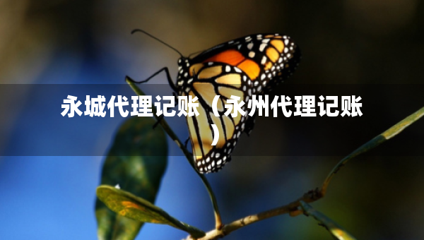 永城代理记账（永州代理记账）