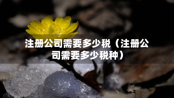 注册公司需要多少税（注册公司需要多少税种）