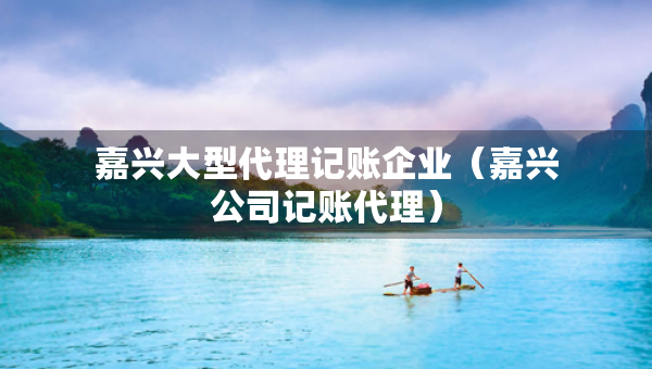 嘉兴大型代理记账企业（嘉兴公司记账代理）