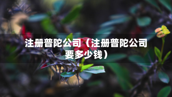 注册普陀公司（注册普陀公司要多少钱）