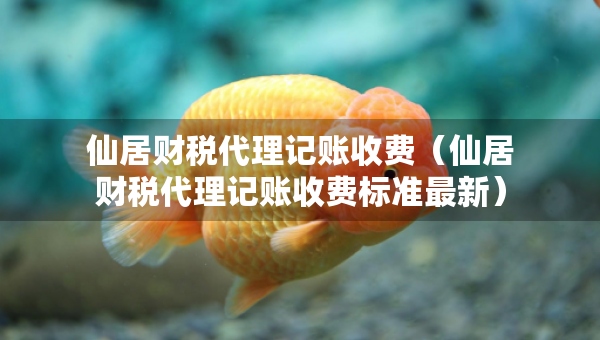 仙居财税代理记账收费（仙居财税代理记账收费标准最新）