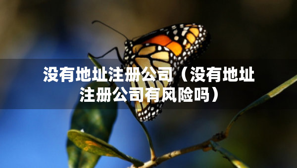 没有地址注册公司（没有地址注册公司有风险吗）