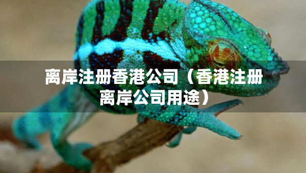 离岸注册香港公司（香港注册离岸公司用途）