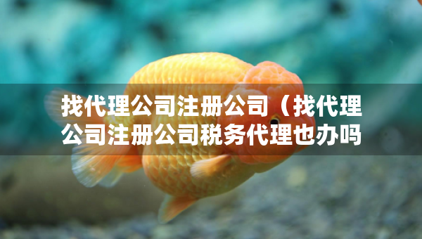 找代理公司注册公司（找代理公司注册公司税务代理也办吗）
