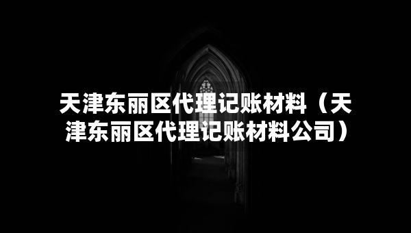 天津东丽区代理记账材料（天津东丽区代理记账材料公司）