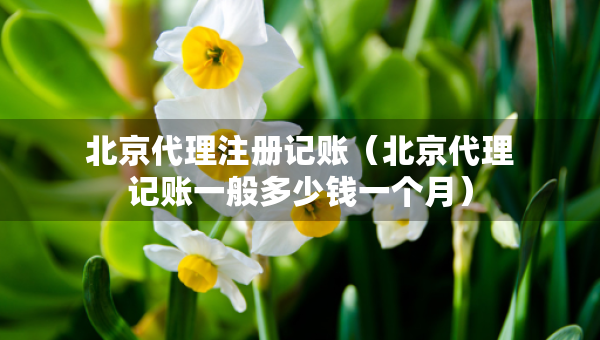 北京代理注册记账（北京代理记账一般多少钱一个月）