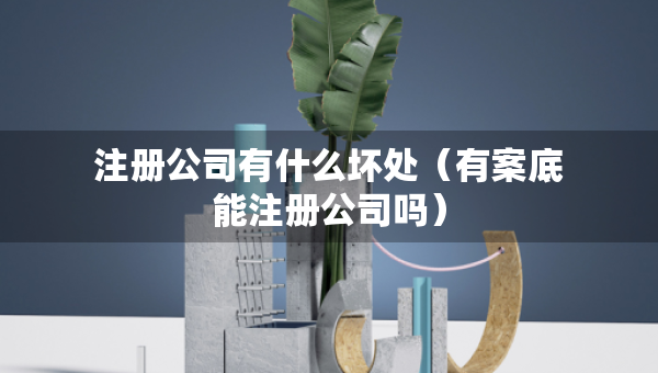 注册公司有什么坏处（有案底能注册公司吗）