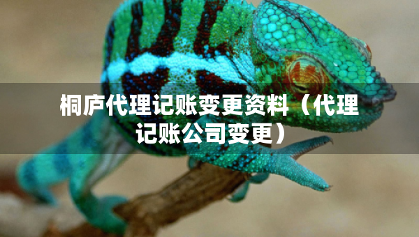 桐庐代理记账变更资料（代理记账公司变更）