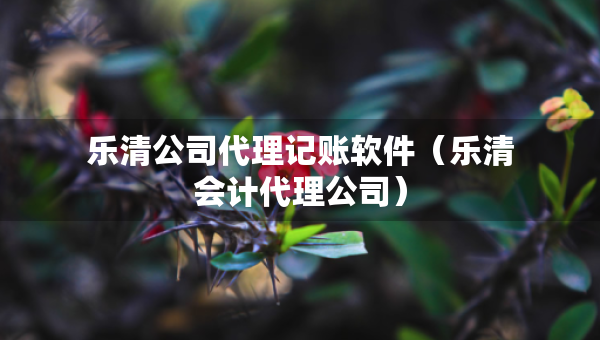 乐清公司代理记账软件（乐清会计代理公司）