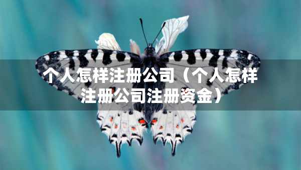 个人怎样注册公司（个人怎样注册公司注册资金）