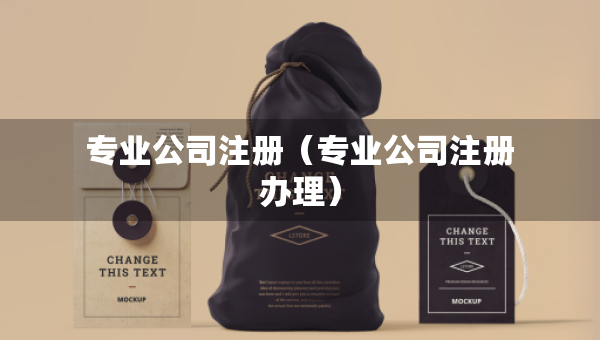 专业公司注册（专业公司注册办理）