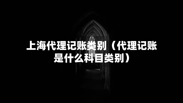 上海代理记账类别（代理记账是什么科目类别）