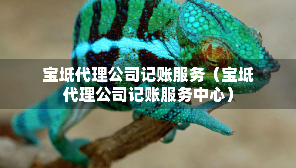 宝坻代理公司记账服务（宝坻代理公司记账服务中心）