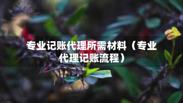 专业记账代理所需材料（专业代理记账流程）