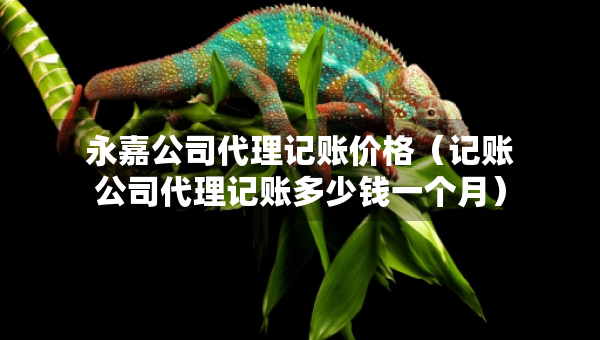 永嘉公司代理记账价格（记账公司代理记账多少钱一个月）