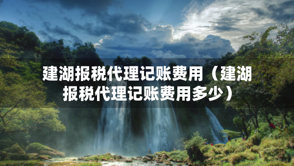 建湖报税代理记账费用（建湖报税代理记账费用多少）