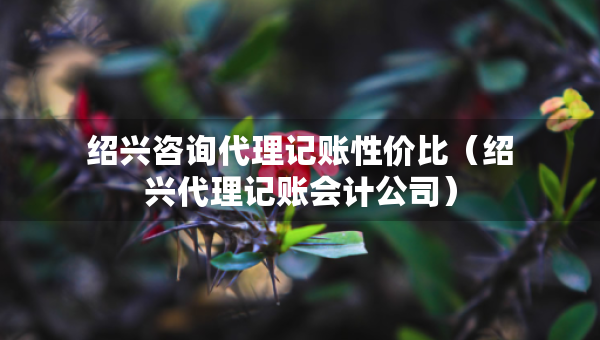绍兴咨询代理记账性价比（绍兴代理记账会计公司）