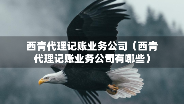 西青代理记账业务公司（西青代理记账业务公司有哪些）
