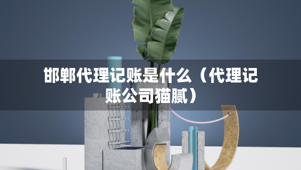 邯郸代理记账是什么（代理记账公司猫腻）