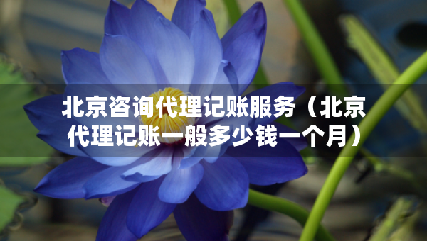 北京咨询代理记账服务（北京代理记账一般多少钱一个月）