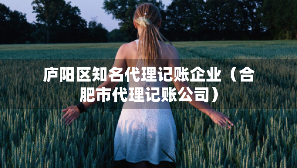 庐阳区知名代理记账企业（合肥市代理记账公司）