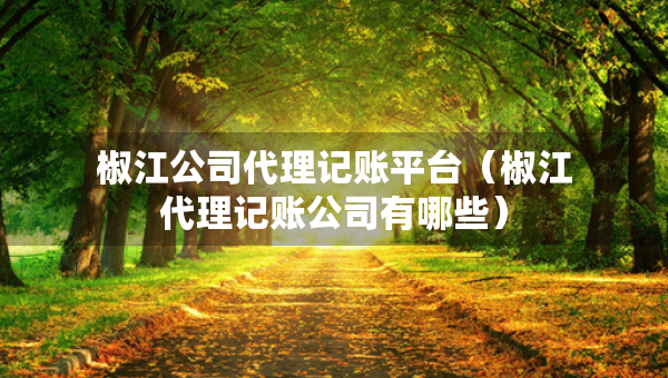 椒江公司代理记账平台（椒江代理记账公司有哪些）
