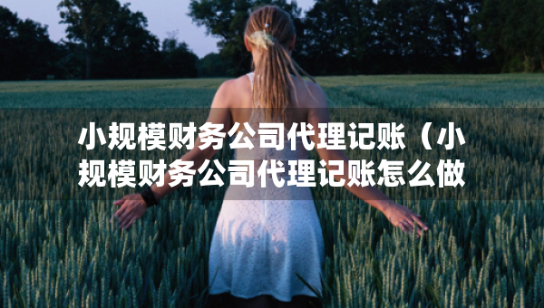 小规模财务公司代理记账（小规模财务公司代理记账怎么做）
