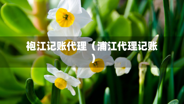 袍江记账代理(浦江代理记账) 袍江记账代理(浦江代理记账)