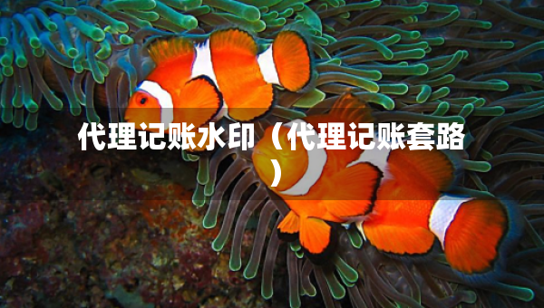 代理记账水印（代理记账套路）