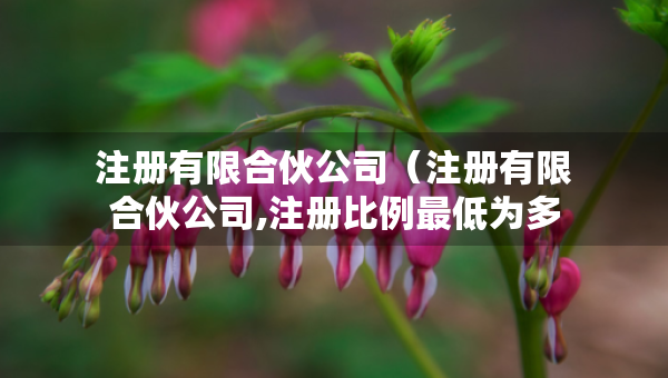注册有限合伙公司（注册有限合伙公司,注册比例最低为多少）