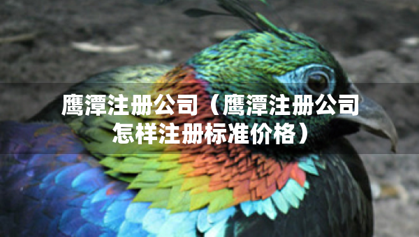 鹰潭注册公司（鹰潭注册公司怎样注册标准价格）