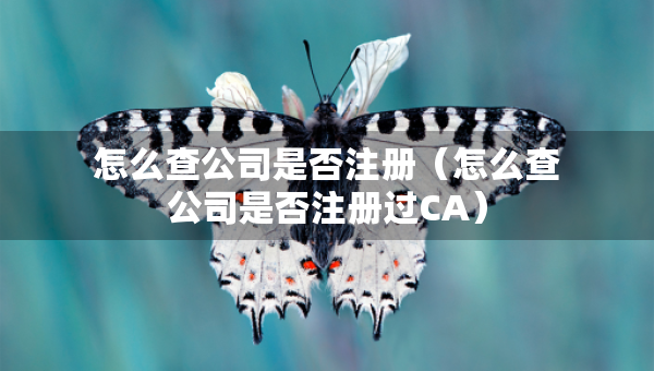 怎么查公司是否注册（怎么查公司是否注册过CA）