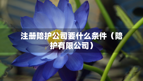 注册陪护公司要什么条件（陪护有限公司）