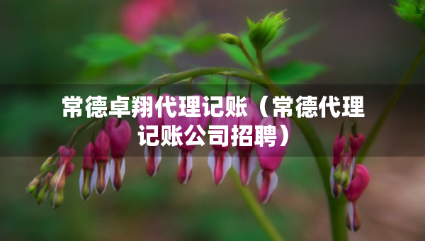 常德卓翔代理记账（常德代理记账公司招聘）