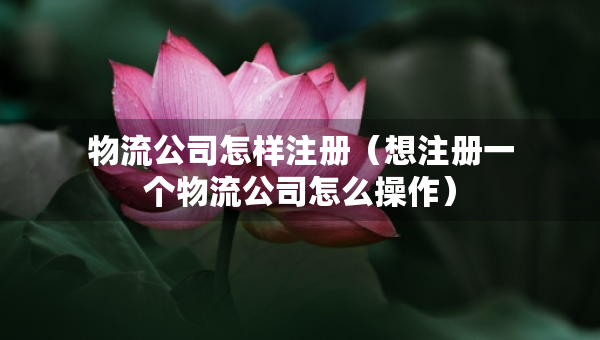 物流公司怎样注册（想注册一个物流公司怎么操作）