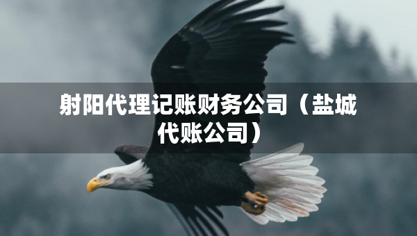 射阳代理记账财务公司（盐城代账公司）