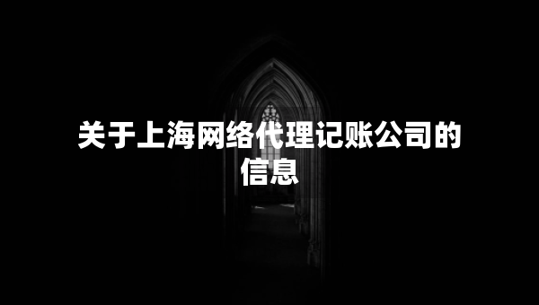 关于上海网络代理记账公司的信息