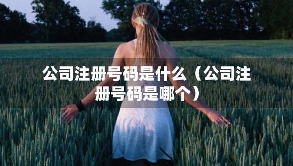 公司注册号码是什么（公司注册号码是哪个）