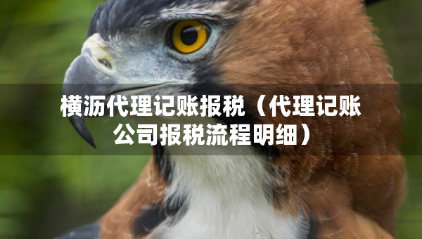 横沥代理记账报税（代理记账公司报税流程明细）