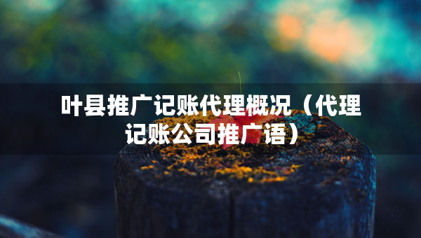 叶县推广记账代理概况（代理记账公司推广语）