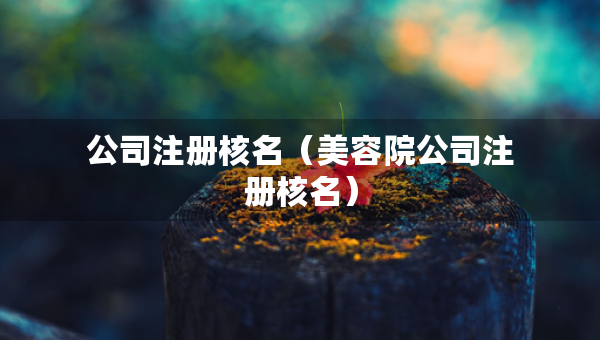 公司注册核名（美容院公司注册核名）