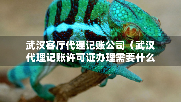 武汉客厅代理记账公司（武汉代理记账许可证办理需要什么条件）