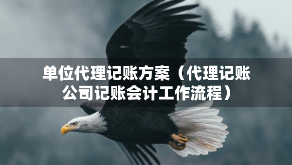 单位代理记账方案（代理记账公司记账会计工作流程）