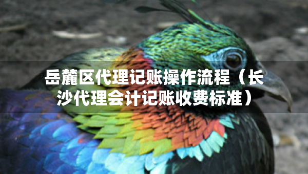 岳麓区代理记账操作流程（长沙代理会计记账收费标准）