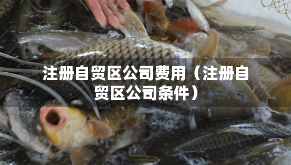 注册自贸区公司费用（注册自贸区公司条件）